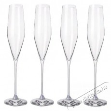 B.BOHEMIAN SENECA prosecco / pezsgőspoh&aacute;r szett - 190 ml, 4 db Konyhai term&eacute;kek - Konyhai eszk&ouml;z - K&eacute;szlet / szett - 523916