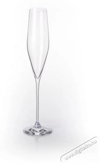 B.BOHEMIAN SENECA prosecco / pezsgőspoh&aacute;r szett - 190 ml, 4 db Konyhai term&eacute;kek - Konyhai eszk&ouml;z - K&eacute;szlet / szett - 523916