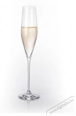 B.BOHEMIAN SENECA prosecco / pezsgőspoh&aacute;r szett - 190 ml, 4 db Konyhai term&eacute;kek - Konyhai eszk&ouml;z - K&eacute;szlet / szett - 523916