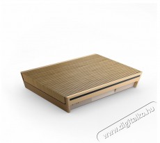 Bang&Olufsen Beosound LEVEL Gold Tone Audio-Video / Hifi / Multim&eacute;dia - Hangfal - Hangfalszett - &Aacute;ll&oacute; / front hangfal - 523956