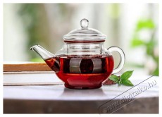 BANQUET DOBLO duplafalú üveg teáskanna 280 ml Konyhai termékek - Edény - Teáskanna - 524275