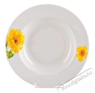 BANQUET SUNNY &eacute;tk&eacute;szlet 18 db A02583 Konyhai term&eacute;kek - &Eacute;tk&eacute;szlet - T&aacute;ny&eacute;r k&eacute;szlet - 526959