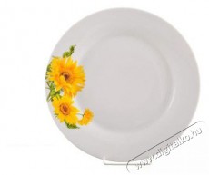 BANQUET SUNNY &eacute;tk&eacute;szlet 18 db A02583 Konyhai term&eacute;kek - &Eacute;tk&eacute;szlet - T&aacute;ny&eacute;r k&eacute;szlet - 526959