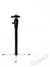 Benro Roadtrip Pro Állvány Fotó-Videó kiegészítők - Állvány - Monopod állvány - 491443