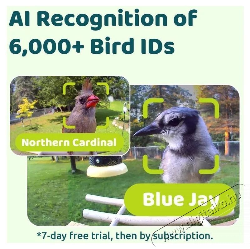 Birdfy Mad&aacute;retető kamer&aacute;val, &eacute;benfa, AI n&eacute;lk&uuml;l (EPPAMBNI8702110) H&aacute;ztart&aacute;s / Otthon / K&uuml;lt&eacute;r - K&uuml;lt&eacute;r / kerti term&eacute;k / grill - Egy&eacute;b kerti g&eacute;p - 531483