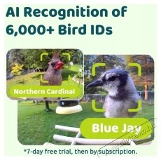 Birdfy Mad&aacute;retető kamer&aacute;val, &eacute;benfa, AI n&eacute;lk&uuml;l (EPPAMBNI8702110) H&aacute;ztart&aacute;s / Otthon / K&uuml;lt&eacute;r - K&uuml;lt&eacute;r / kerti term&eacute;k / grill - Egy&eacute;b kerti g&eacute;p - 531483