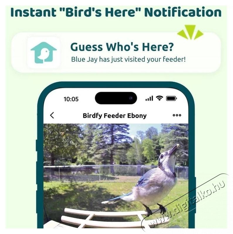 Birdfy Mad&aacute;retető kamer&aacute;val, &eacute;benfa, AI n&eacute;lk&uuml;l (EPPAMBNI8702110) H&aacute;ztart&aacute;s / Otthon / K&uuml;lt&eacute;r - K&uuml;lt&eacute;r / kerti term&eacute;k / grill - Egy&eacute;b kerti g&eacute;p - 531483