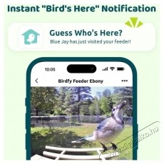 Birdfy Mad&aacute;retető kamer&aacute;val, &eacute;benfa, AI n&eacute;lk&uuml;l (EPPAMBNI8702110) H&aacute;ztart&aacute;s / Otthon / K&uuml;lt&eacute;r - K&uuml;lt&eacute;r / kerti term&eacute;k / grill - Egy&eacute;b kerti g&eacute;p - 531483