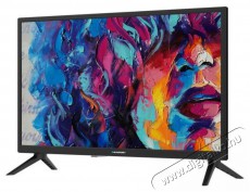 Blaupunkt BN24H1372EEB 60cm-es HD LED TV Televíziók - LED televízió - 720p HD Ready felbontású - 398936