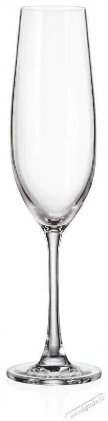 Bohemia Royal Crystal  SARAH Boros- &eacute;s pezsgőspoh&aacute;r k&eacute;szlet, 12 db Konyhai term&eacute;kek - Konyhai eszk&ouml;z - K&eacute;szlet / szett - 524406