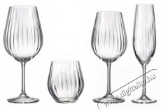 Bohemia Royal Crystal  SARAH WATERFALL Boros- és vizespohár készlet Konyhai termékek - Konyhai eszköz - Egyéb konyhai eszköz - 524408