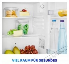 Bomann KB 7347 fekete egyajt&oacute;s hűtő Konyhai term&eacute;kek - Hűtő, fagyaszt&oacute; (szabadon&aacute;ll&oacute;) - Egyajt&oacute;s hűtő - 531650