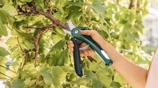 Bosch 06008B2100 EASYPRUNE Akkus metszőolló Háztartás / Otthon / Kültér - Szerszám - Akkumulátoros kés - 362514