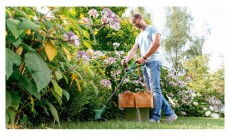 Bosch EasyGrassCut 18V-230 akkumulátoros fűszegélynyíró Háztartás / Otthon / Kültér - Kültér / kerti termék / grill - Motoros fűkasza / szegélynyíró - 386905