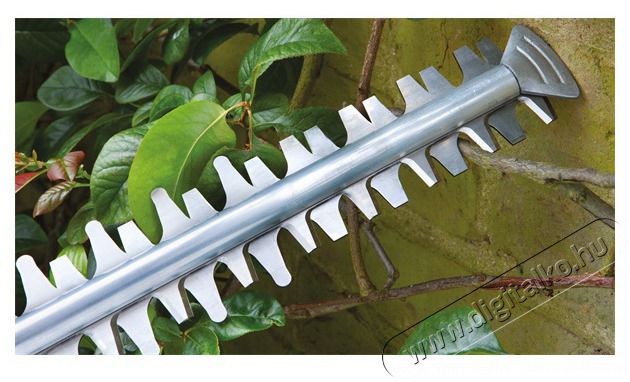 Bosch UniversalHedgeCut 50 elektromos s&ouml;v&eacute;nyv&aacute;g&oacute; H&aacute;ztart&aacute;s / Otthon / K&uuml;lt&eacute;r - K&uuml;lt&eacute;r / kerti term&eacute;k / grill - S&ouml;v&eacute;ny / k&eacute;zi fű &eacute;s lomb v&aacute;g&oacute; - 386906