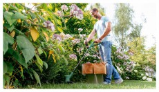 Bosch EasyGrassCut 18V-26 akku &eacute;s t&ouml;ltő n&eacute;lk&uuml;l akkumul&aacute;toros fűszeg&eacute;lyny&iacute;r&oacute; H&aacute;ztart&aacute;s / Otthon / K&uuml;lt&eacute;r - K&uuml;lt&eacute;r / kerti term&eacute;k / grill - Motoros fűkasza / szeg&eacute;lyny&iacute;r&oacute; - 415422