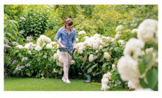 Bosch EasyGrassCut 18V-26 akkumul&aacute;toros fűszeg&eacute;lyny&iacute;r&oacute; H&aacute;ztart&aacute;s / Otthon / K&uuml;lt&eacute;r - K&uuml;lt&eacute;r / kerti term&eacute;k / grill - Motoros fűkasza / szeg&eacute;lyny&iacute;r&oacute; - 415423