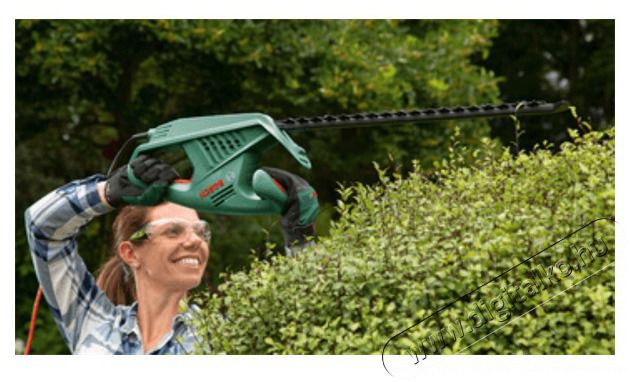 Bosch EasyHedgecut 55 elektromos s&ouml;v&eacute;nyv&aacute;g&oacute; H&aacute;ztart&aacute;s / Otthon / K&uuml;lt&eacute;r - K&uuml;lt&eacute;r / kerti term&eacute;k / grill - Motoros fűkasza / szeg&eacute;lyny&iacute;r&oacute; - 442479