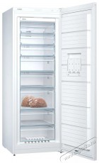 Bosch GSN58VWEV Serie 4 Konyhai termékek - Hűtő, fagyasztó (szabadonálló) - Fagyasztószekrény - 505621