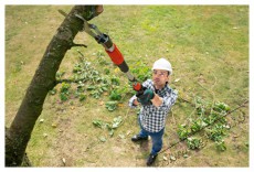 Bosch AdvancedPrune 18V-45 - akku n&eacute;lk&uuml;l, hossz&uacute; r&uacute;d (0.600.8C5.002) H&aacute;ztart&aacute;s / Otthon / K&uuml;lt&eacute;r - Szersz&aacute;m - Egy&eacute;b szersz&aacute;m - 518538