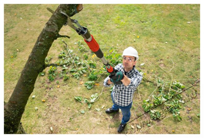 Bosch AdvancedPrune 18V-45 - akku n&eacute;lk&uuml;l, hossz&uacute; r&uacute;d (0.600.8C5.002) H&aacute;ztart&aacute;s / Otthon / K&uuml;lt&eacute;r - Szersz&aacute;m - Egy&eacute;b szersz&aacute;m - 518538