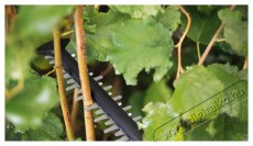 Bosch UniversalHedgeCut 18-55 (2x2,5 Ah) 0.600.849.J02 Háztartás / Otthon / Kültér - Kültér / kerti termék / grill - Sövény / kézi fű és lomb vágó - 518592