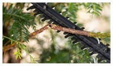 Bosch Akkus s&ouml;v&eacute;nyny&iacute;r&oacute; Bosch EasyHedgeCut 0600849M00, 18 V, 2400 l&ouml;ket/perc, 520 mm-es pengehossz, 15 mm-es fogny&iacute;l&aacute;s, akkumul&aacute;tor/t&ouml;ltő n&eacute;lk&uuml;l H&aacute;ztart&aacute;s / Otthon / K&uuml;lt&eacute;r - K&uuml;lt&eacute;r / kerti term&eacute;k / grill - S&ouml;v&eacute;ny / k&eacute;zi fű &eacute;s lomb v&aacute;g&oacute; - 535070