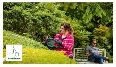 Bosch UniversalHedgeCut s&ouml;v&eacute;nyv&aacute;g&oacute; 06008C0703, 480 W, 60 cm-es pengehossz, 30 mm-es fogny&iacute;l&aacute;s, 3400 &uuml;t&eacute;s / perc H&aacute;ztart&aacute;s / Otthon / K&uuml;lt&eacute;r - K&uuml;lt&eacute;r / kerti term&eacute;k / grill - S&ouml;v&eacute;ny / k&eacute;zi fű &eacute;s lomb v&aacute;g&oacute; - 535074