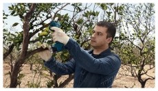 Bosch Professional 06019K1021 Pro Pruner akkus metszőoll&oacute; (2 &times; 3 Ah) &Aacute;gv&aacute;g&oacute; H&aacute;ztart&aacute;s / Otthon / K&uuml;lt&eacute;r - Szersz&aacute;m - Akkumul&aacute;toros k&eacute;s - 540832