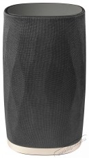 Bowers & Wilkins Formation Flex fekete Audio-Video / Hifi / Multimédia - Hordozható, vezeték nélküli / bluetooth hangsugárzó - Hordozható, vezeték nélküli / bluetooth hangsugárzó - 523171