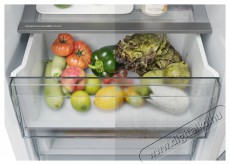 Candy ECNBQT3519EW FRESCO Konyhai term&eacute;kek - Hűtő, fagyaszt&oacute; (be&eacute;p&iacute;thető) - Alulfagyaszt&oacute;s kombin&aacute;lt hűtő - 509599