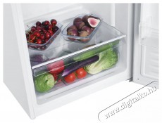 Candy CLH3S617EWH Szabadon&aacute;ll&oacute; egyajt&oacute;s hűtő Konyhai term&eacute;kek - Hűtő, fagyaszt&oacute; (szabadon&aacute;ll&oacute;) - Egyajt&oacute;s hűtő - 527096