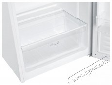 Candy CLH3S617EWH Szabadon&aacute;ll&oacute; egyajt&oacute;s hűtő Konyhai term&eacute;kek - Hűtő, fagyaszt&oacute; (szabadon&aacute;ll&oacute;) - Egyajt&oacute;s hűtő - 527096