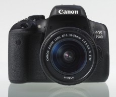 CANON EOS 750D + 18-55mm IS STM Kit Fényképezőgép / kamera - DSLR tükörreflexes fényképezőgép - 285015
