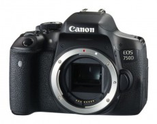 CANON EOS 750D + EF-S 18-55mm f/3.5-5.6 DC III kit Fényképezőgép / kamera - DSLR tükörreflexes fényképezőgép - 325235