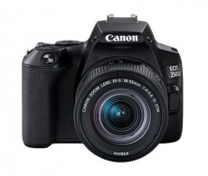 CANON EOS 250D + EF-S 18-55mm f/4-5.6 IS STM kit Fényképezőgép / kamera - DSLR tükörreflexes fényképezőgép - 353508