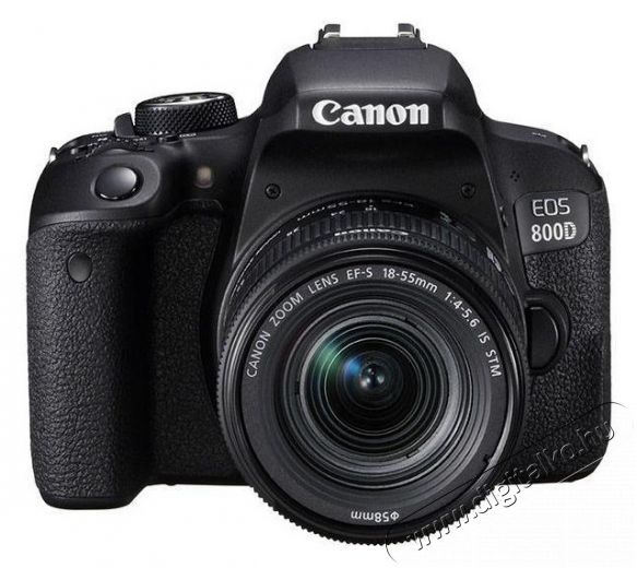 CANON EOS 800D + EF-S 18-55mm f/3.5-5.6 IS STM kit Fényképezőgép / kamera - DSLR tükörreflexes fényképezőgép - 313663