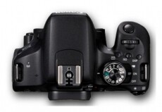 CANON EOS 800D + EF-S 18-55mm f/3.5-5.6 IS STM kit Fényképezőgép / kamera - DSLR tükörreflexes fényképezőgép - 313663