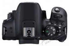 CANON EOS 850D váz Fényképezőgép / kamera - DSLR tükörreflexes fényképezőgép - 364072