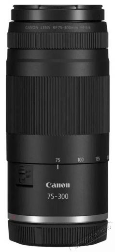 CANON RF 75-300mm f/4-5.6 (7155C005) objektív Fotó-Videó kiegészítők - Objektív - Fix fókuszú objektív - 531218
