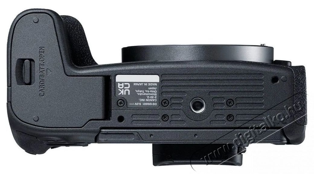CANON EOS R8 + RF 24-50mm f/4.5-6.3 IS STM F&eacute;nyk&eacute;pezőg&eacute;p / kamera - MILC cser&eacute;lhető objekt&iacute;ves kompakt f&eacute;nyk&eacute;pezőg&eacute;p - 531245