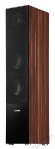 Canton GLE 496.2 álló hangsugárzó /pár - makassar Audio-Video / Hifi / Multimédia - Hangfal - Hangfalszett - Álló / front hangfal - 326934