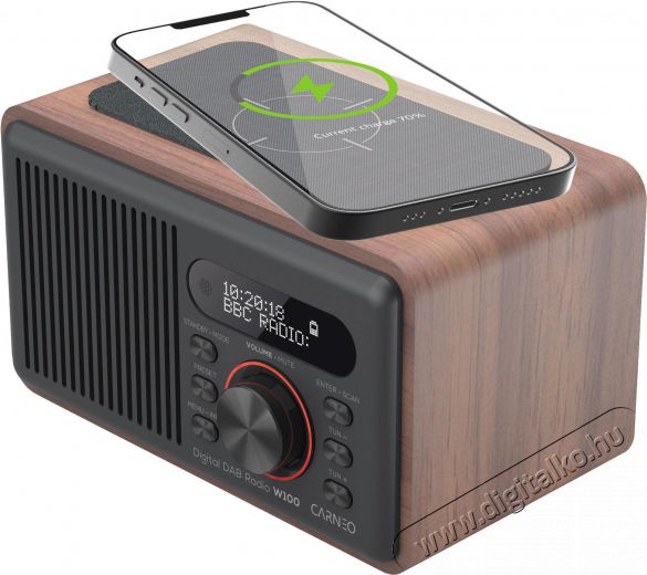 CARNEO W100, wood Audio-Video / Hifi / Multimédia - Rádió / órás rádió - Asztali rádió - 524493