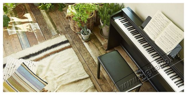 Casio PX-870 BK Privia digitális zongora Újdonságok - Új termékek - 336039