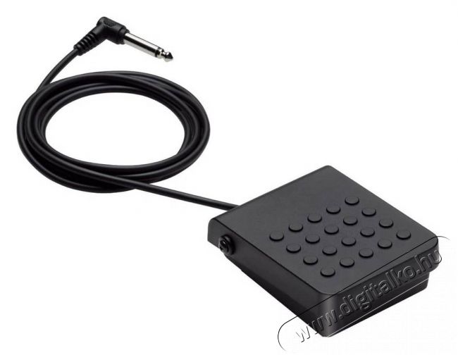 Casio SP-3 kitartópedál Audio-Video / Hifi / Multimédia - Hangszer - 336046