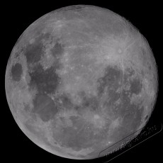 Celestron AstroMaster 76EQ Teleszkóp - C31035 Távcsövek / Optika - Teleszkóp - 258493