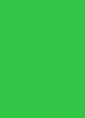 Colorama Colormatt 100 x 130 cm PVC háttér - spring green Fotó-Videó kiegészítők - Háttér - Poliészter háttér - 301401