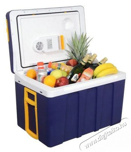 Compass 50l 230V / 12V mobil Konyhai termékek - Hűtő, fagyasztó (szabadonálló) - Fagyasztóláda - 523265