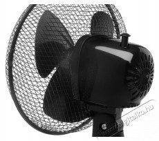 Concept VS5041 fekete Háztartás / Otthon / Kültér - Ventilátor / Légkondicionáló - Asztali ventilátor - 511886