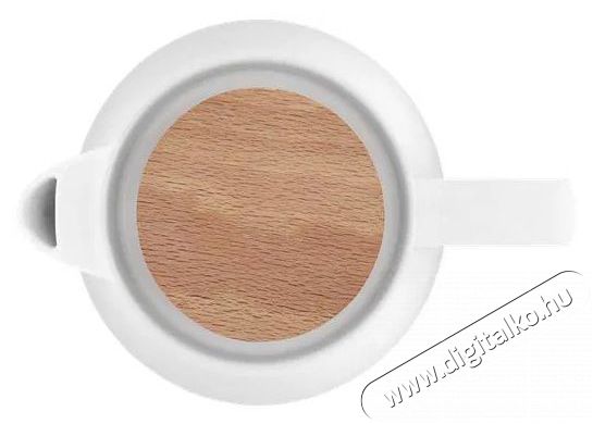 Concept RK0085 Konyhai term&eacute;kek - V&iacute;zforral&oacute; / teafőző - 513014